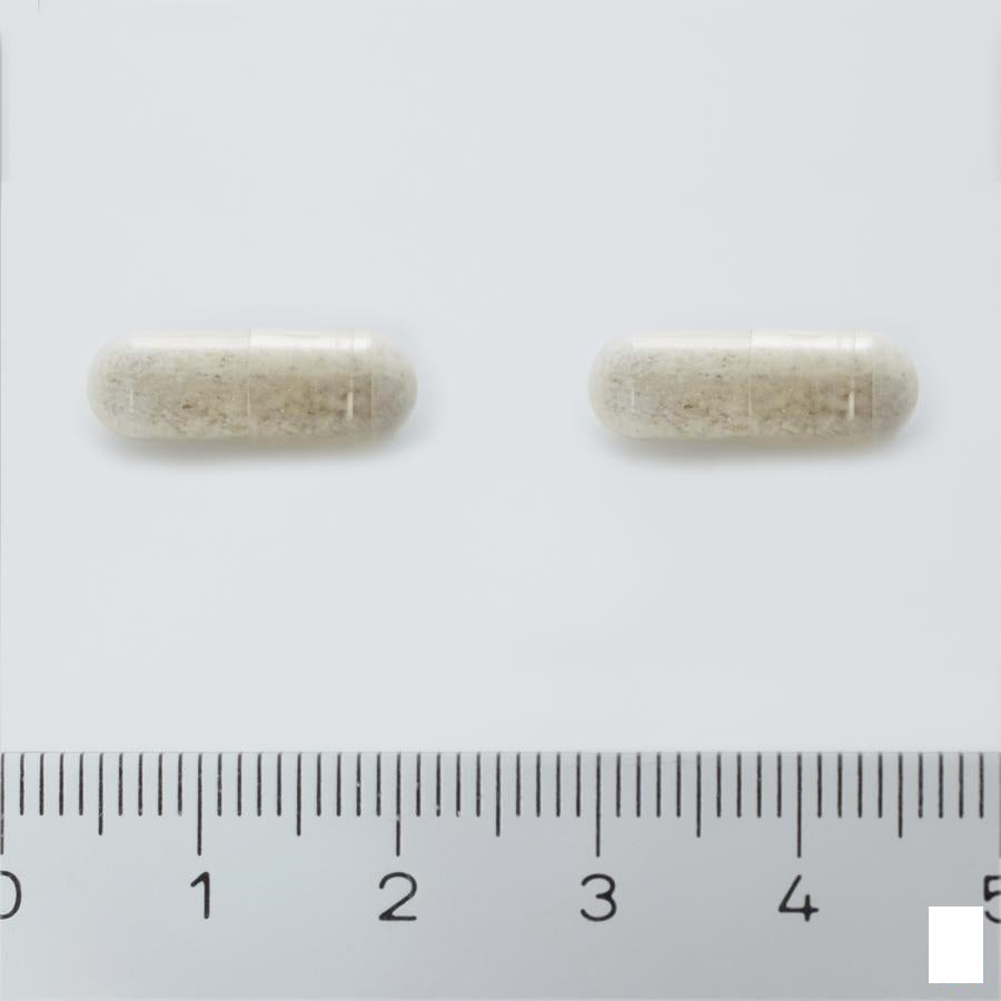 Antedia Gel 50