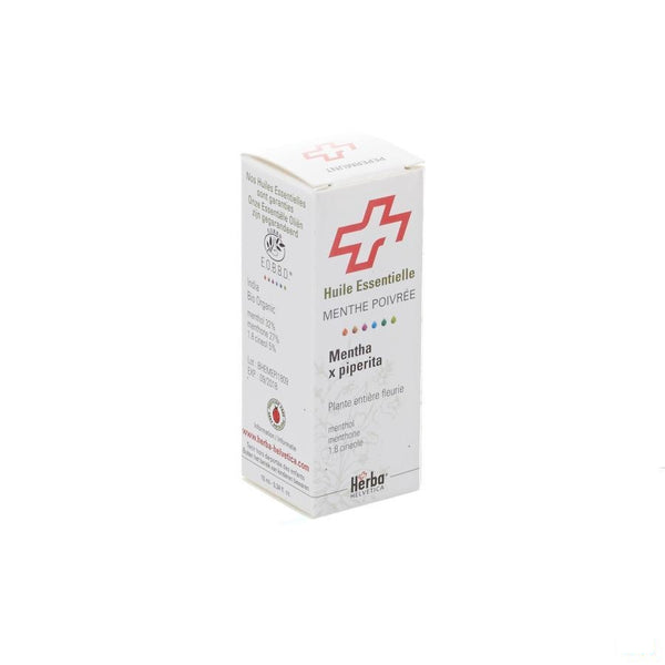 Pepermunt Menth. Bl.plant Herba Helv.ess Olie 10ml - Alanine - InstaCosmetic