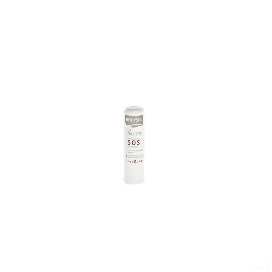 Bodysol Lipstick Herstellend Sos 4,8g