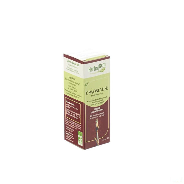 Herbalgem Vlierbes Maceraat 50ml - Herbalgem - InstaCosmetic