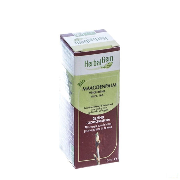 Herbalgem Maagdenpalm Maceraat 15ml - Herbalgem - InstaCosmetic