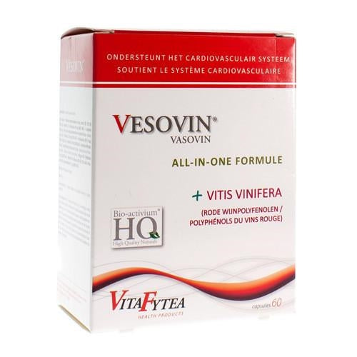 Vitafytea Vasovin Capsules 60 - Etixx - InstaCosmetic