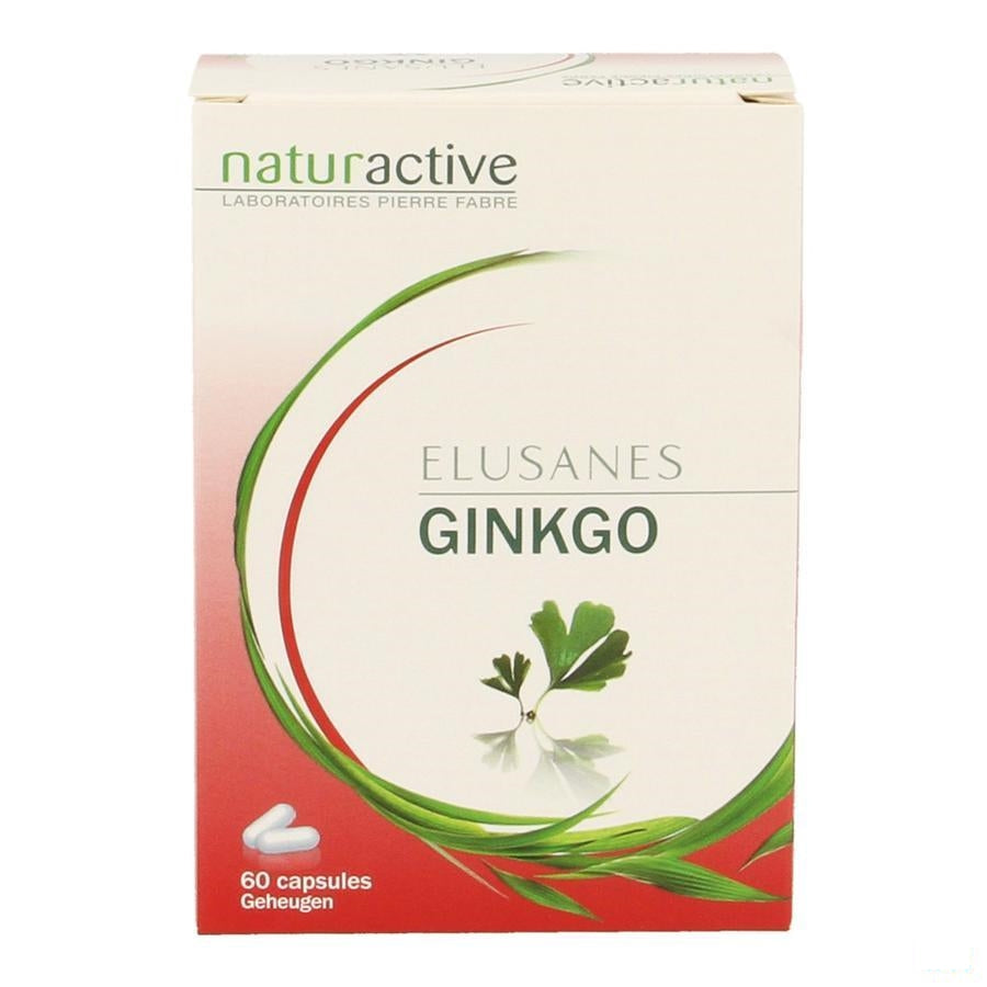 Elusanes Ginkgo Blister Gel 60