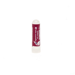 Puressentiel Eetlustrem. Inhalator 5 Ess.olie 1ml