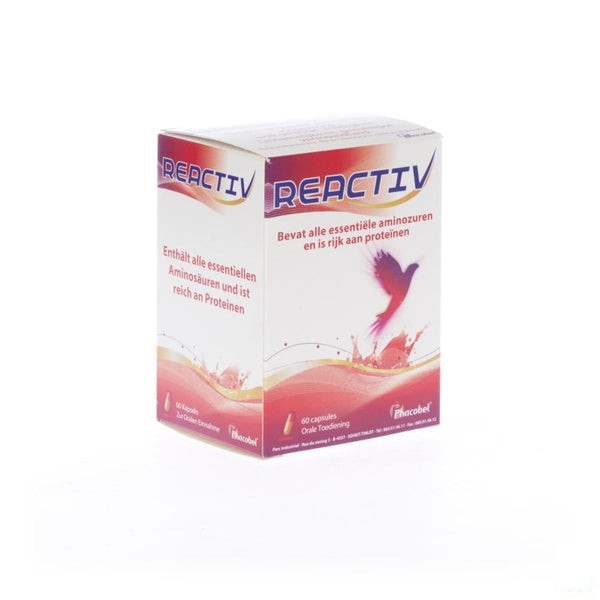 Reactiv 400mg Gel 60 - Phacobel - InstaCosmetic