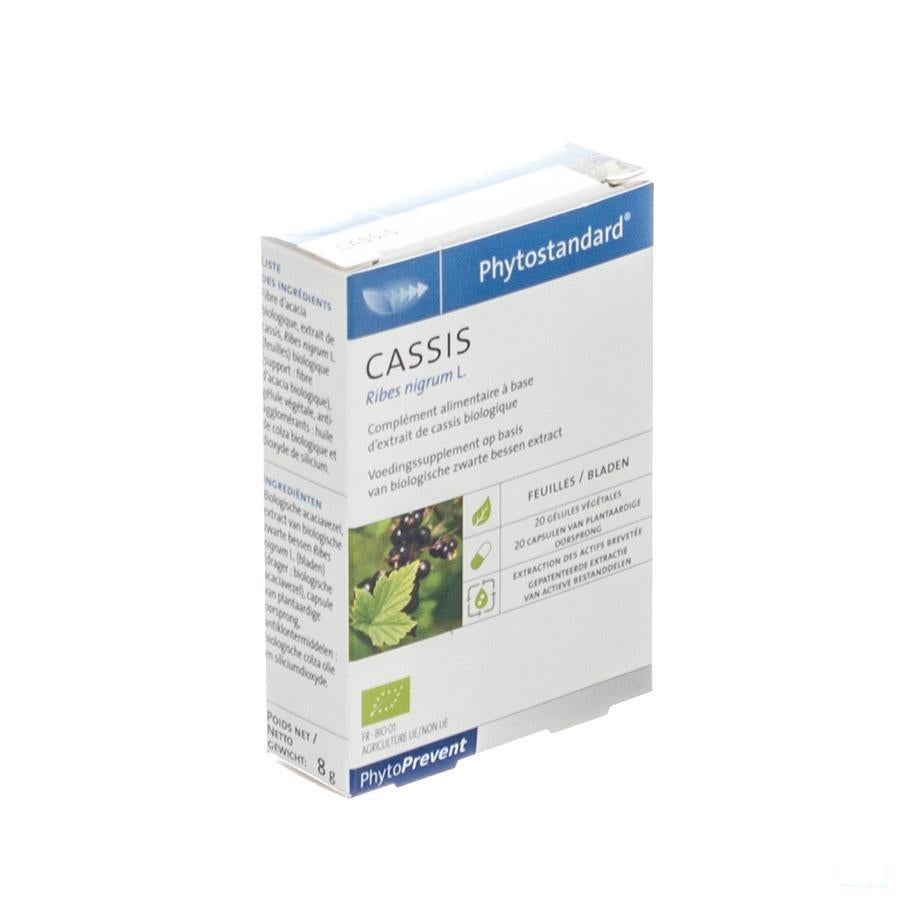Phytostandard Zwarte Aalbes Capsules 20