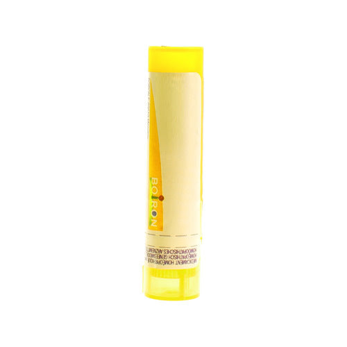 Apis Mellifica 4ch Gr 4g Boiron - Boiron Hnc - InstaCosmetic