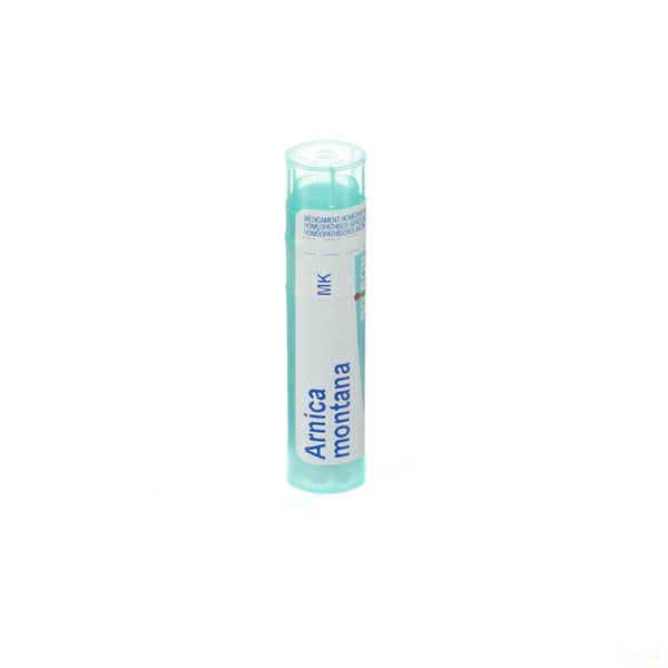 Arnica Montana Mk Gr 4g Boiron - Boiron Hnc - InstaCosmetic