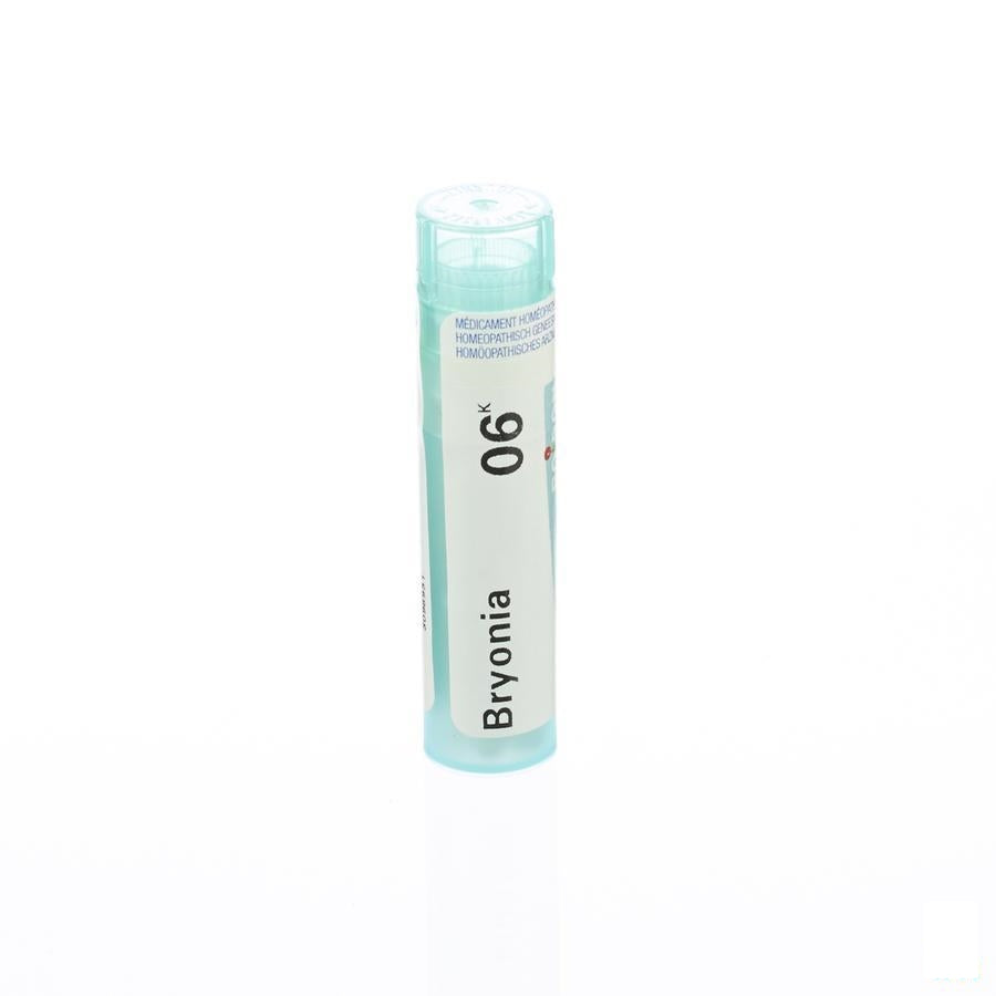 Bryonia 6k Gr 4g Boiron