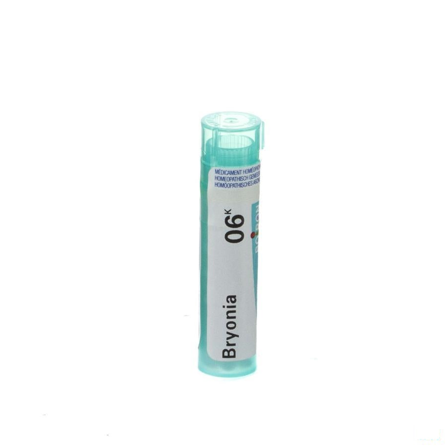 Bryonia 6k Gr 4g Boiron