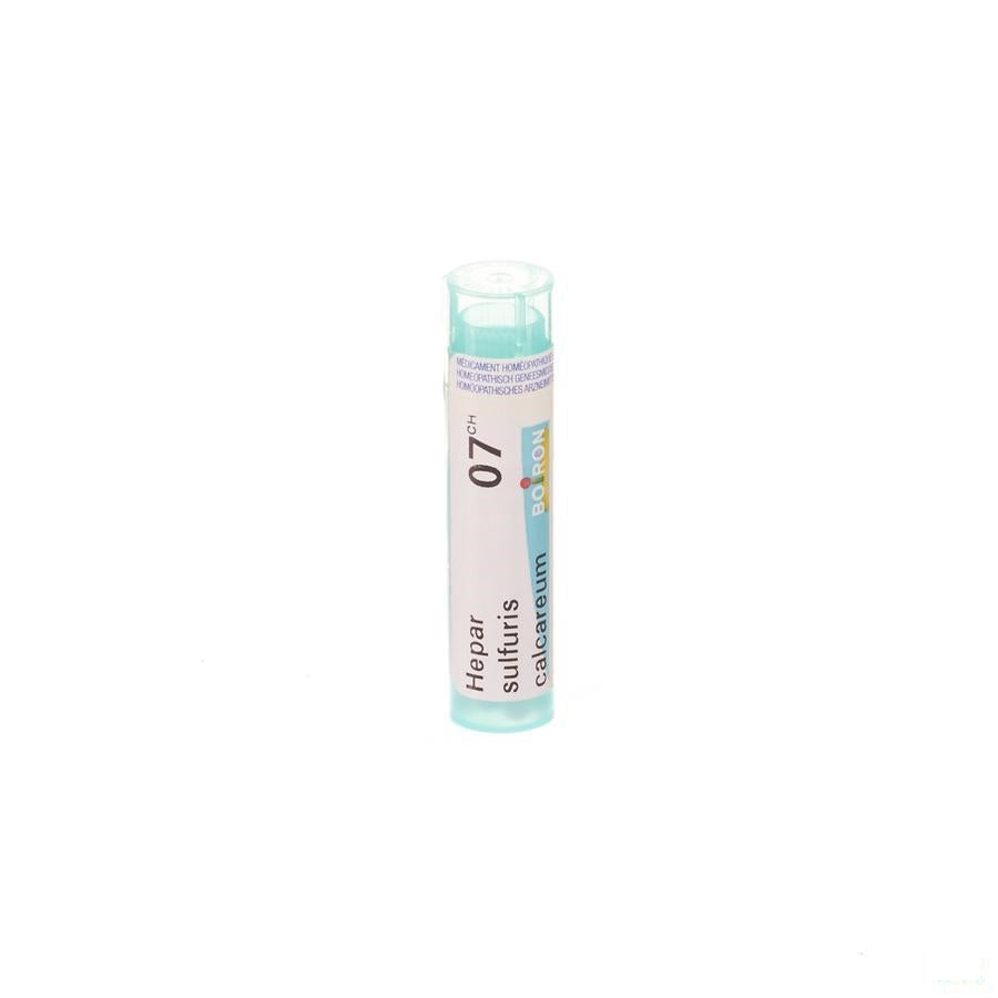 Hepar Sulfuris Calcareum 7ch Gr 4g Boiron