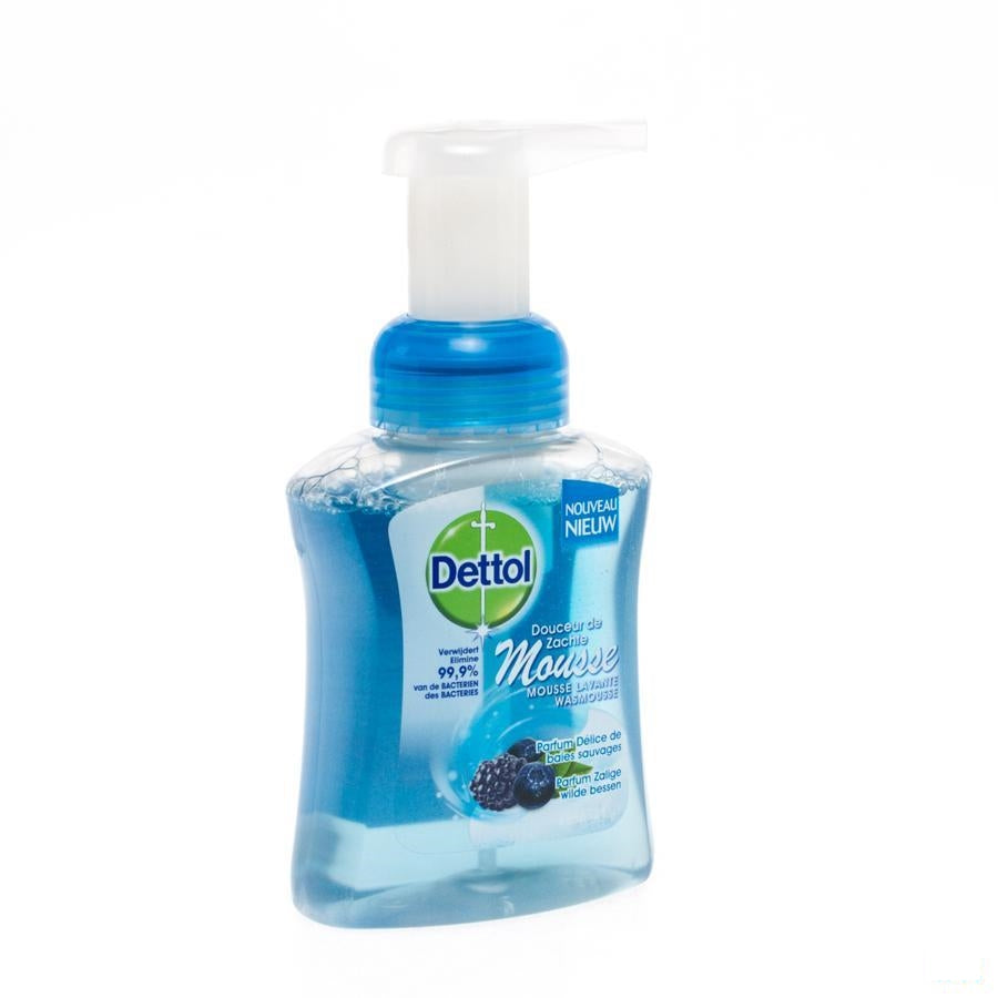 Dettol Healthy Touch Handzeep Mss Wasgel Wilde Bessen 250ml