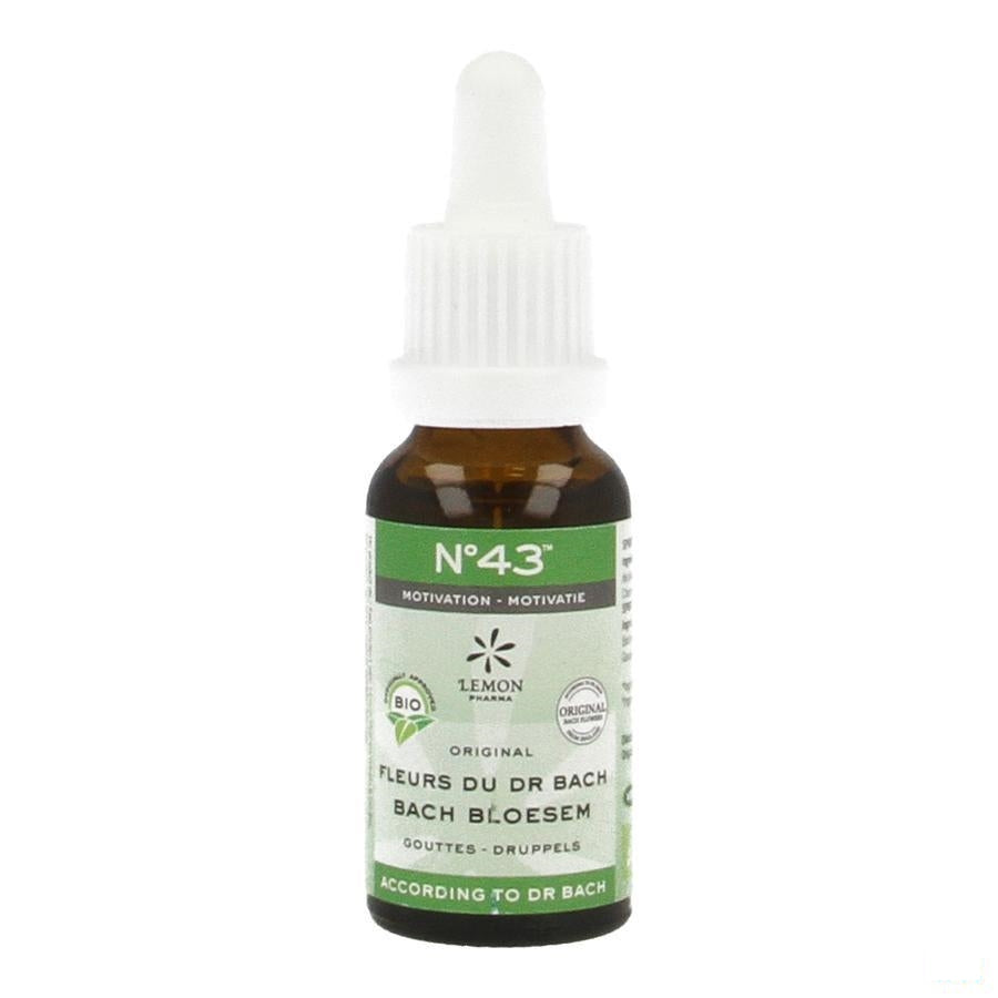 Bachbloesem Bio N43 Druppels Motivatie 20ml
