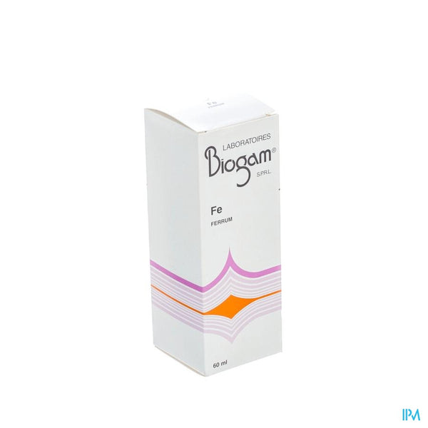 Biogam Fe Fl 60ml
