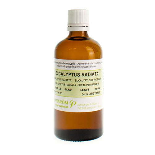 Eucalyptus Radiata Ess Olie 100ml Pranarom